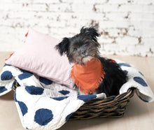 puppy in a basket with polka dot pet quilt