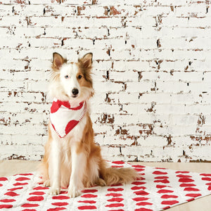 dog wearing red polka dot pet scarf bandana