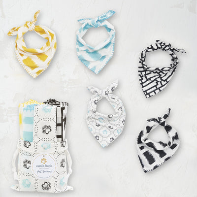 patterned pet scarf gift set